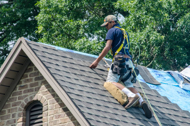 Best Residential Roof Replacement  in Brooksville, MS